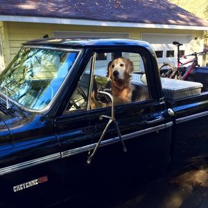 Meet your Posher, Gary